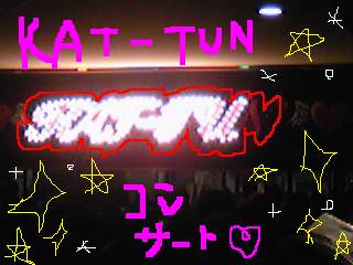 20090810kattun.jpg