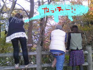 20091109KOUYOU.jpg