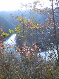 20091109RIVER.jpg