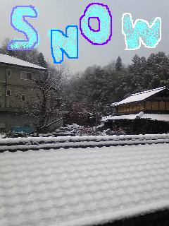 20091217snow.jpg