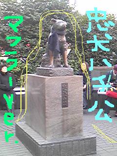 20100201hachikou.jpg