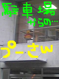 20100211pooh.jpg