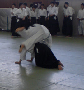 20100223_saijyo02.jpg