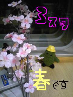 20100317spring.jpg