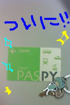 20100518paspy.jpg