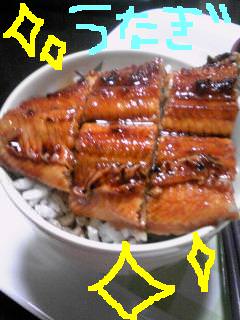 20100727unagi.jpg