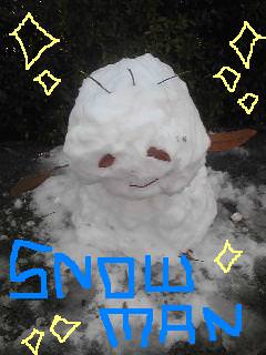 20110118snowman.jpg