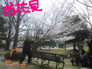 20110411ohanami.jpg