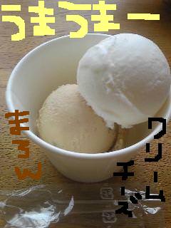 20110614icecream.jpg