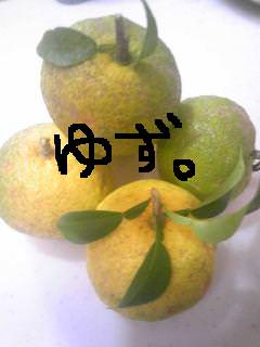 20111025yuzu.jpg