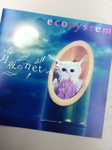 ecosystemからコメント！！