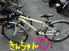 新☆愛自転車