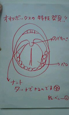 きゃぁぁぁ！！タッチできるの？！