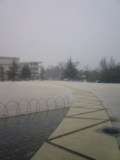 080128_snow.jpg