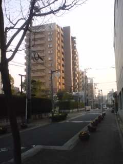 080312_kaerimichi.jpg