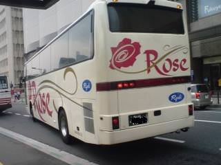 080313_rose.jpg