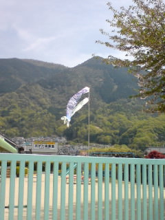 080421_koinoori.jpg