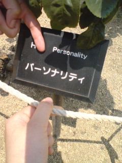 080517_personality.jpg