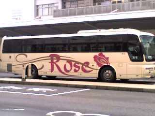 19-05-07_rose.JPG