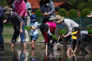 120504taue5.JPG