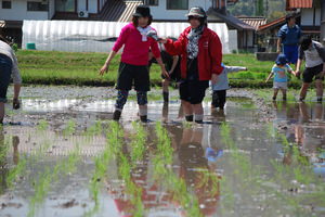 120504taue6.JPG