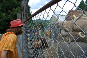 アヤノン秋を満喫ｉｎ平田観光農園②