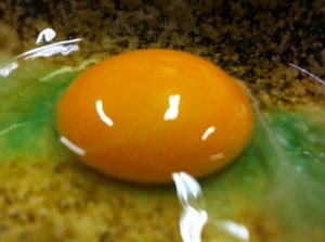 a0914tamago.jpg