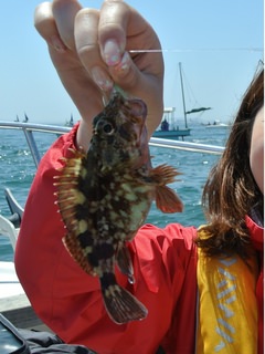 130517fish19.JPG