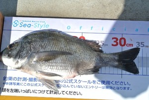 140516fish29.JPG