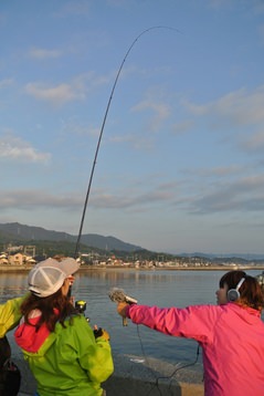 141031ayafish11.JPG