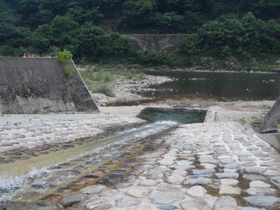 水野.jpg