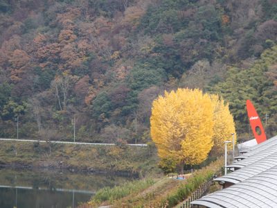 １２月４日(水)もしもしWEATHER通信