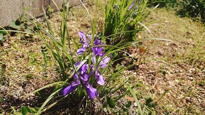 5月6日（水）AD秋山日記