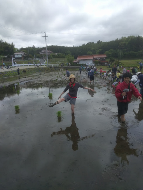 近藤志保☆田植え体験☆