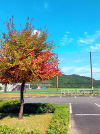 １０月６日は、先日吉田サッカー公園で収録してきた若手選手のインタビューをお届け！