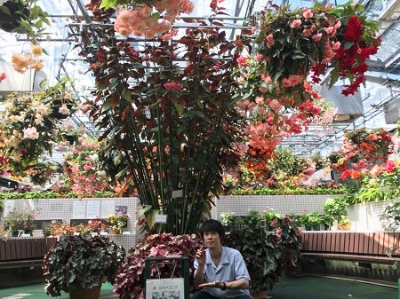 広島市植物公園で開催中！サマーフェア！！