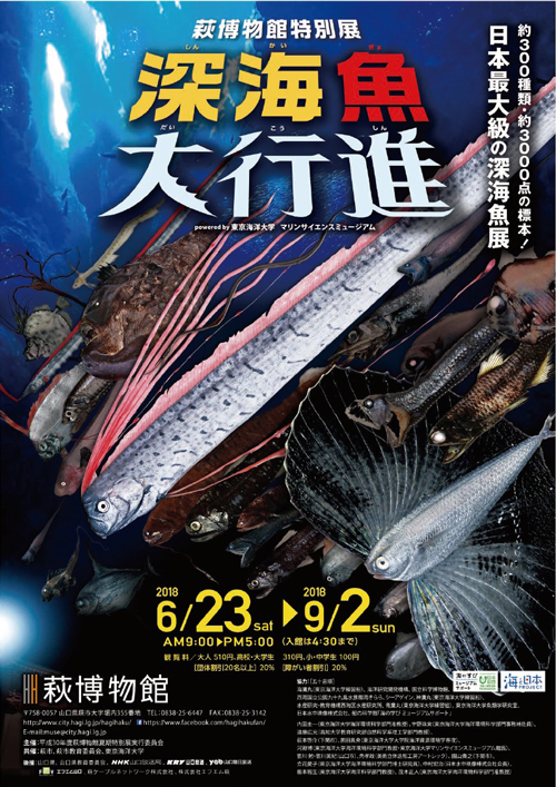 今週は、萩博物館で開催中の企画展 『 深海魚大行進 』に行く！？