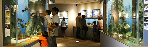 今週は、島根県出雲市にある『 宍道湖自然館ゴビウス 』に行く！？