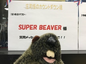 SUPER BEAVER