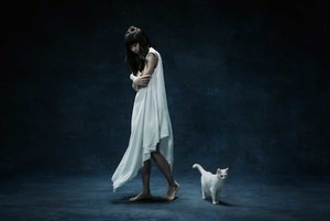 Aimer「BEST SELECTION 